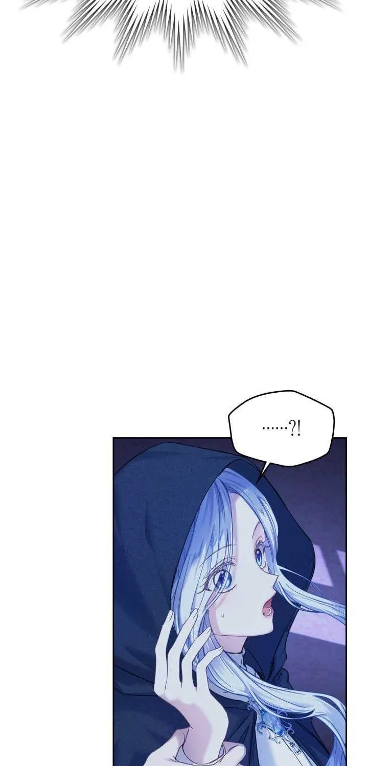 The Baby Prisoner in the Winter Castle Chapter 6 page 28 - 