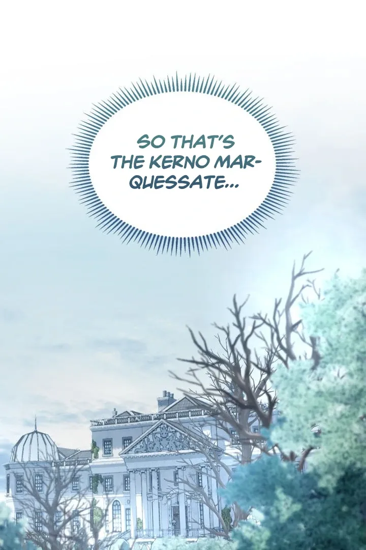 The Baby Prisoner in the Winter Castle Chapter 63 page 5 - 