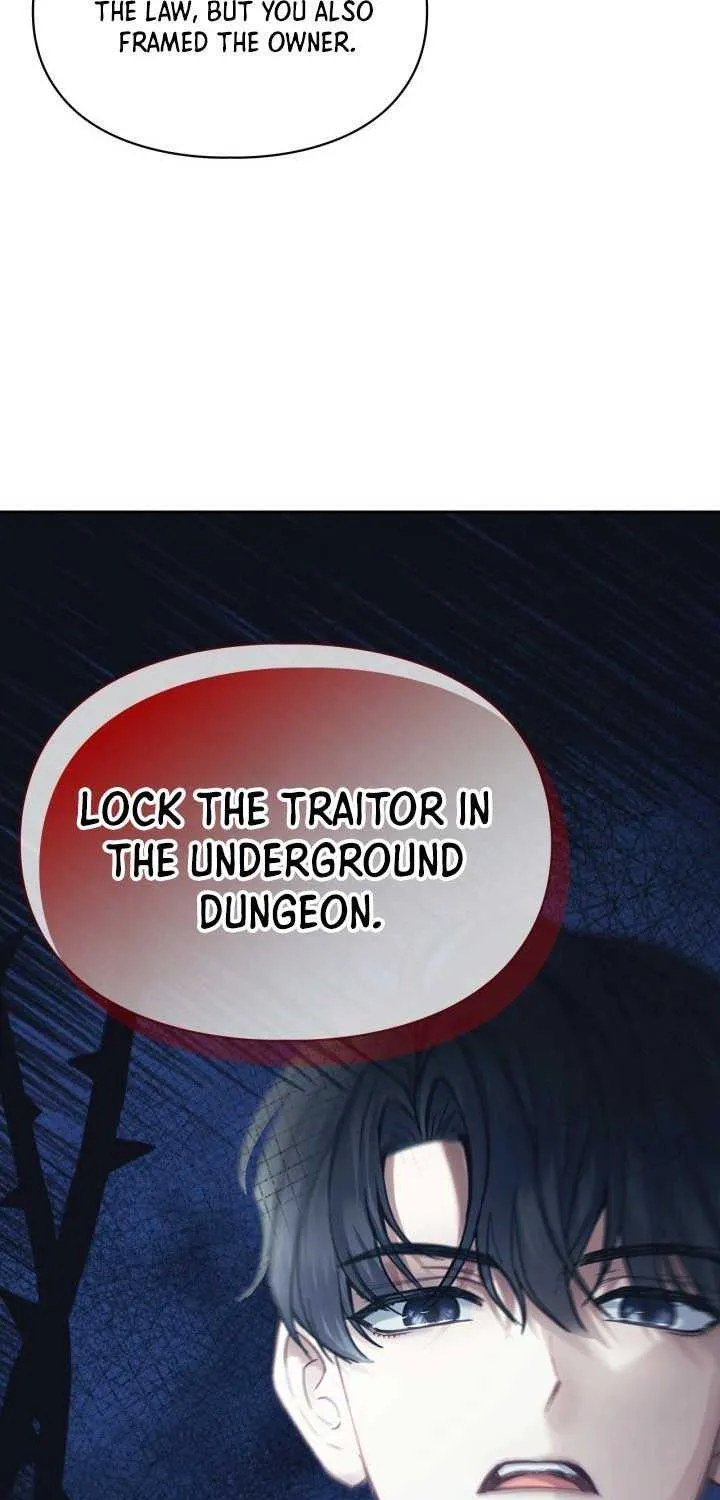 The Baby Prisoner in the Winter Castle Chapter 7 page 17 - 