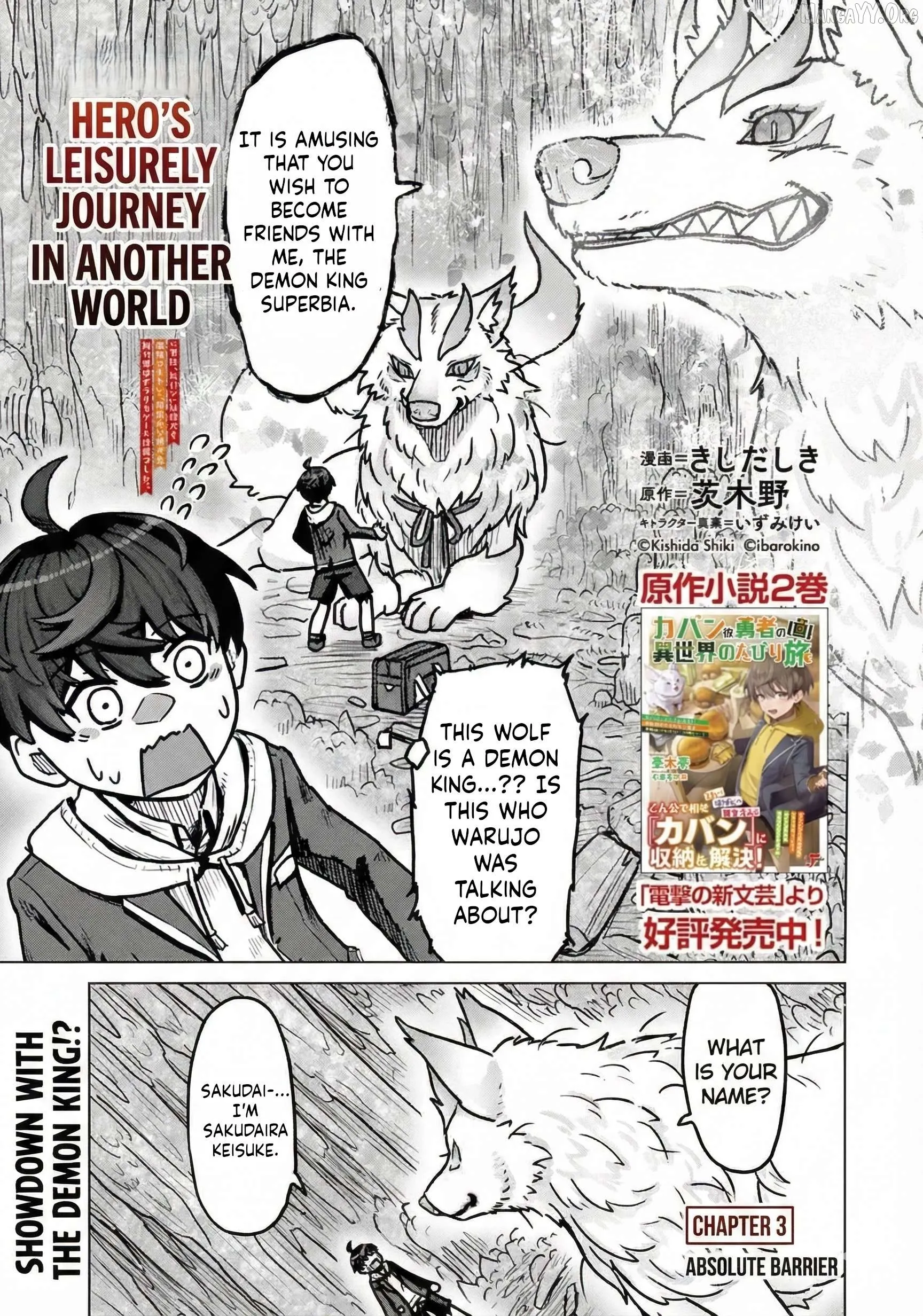 The Bag Hero