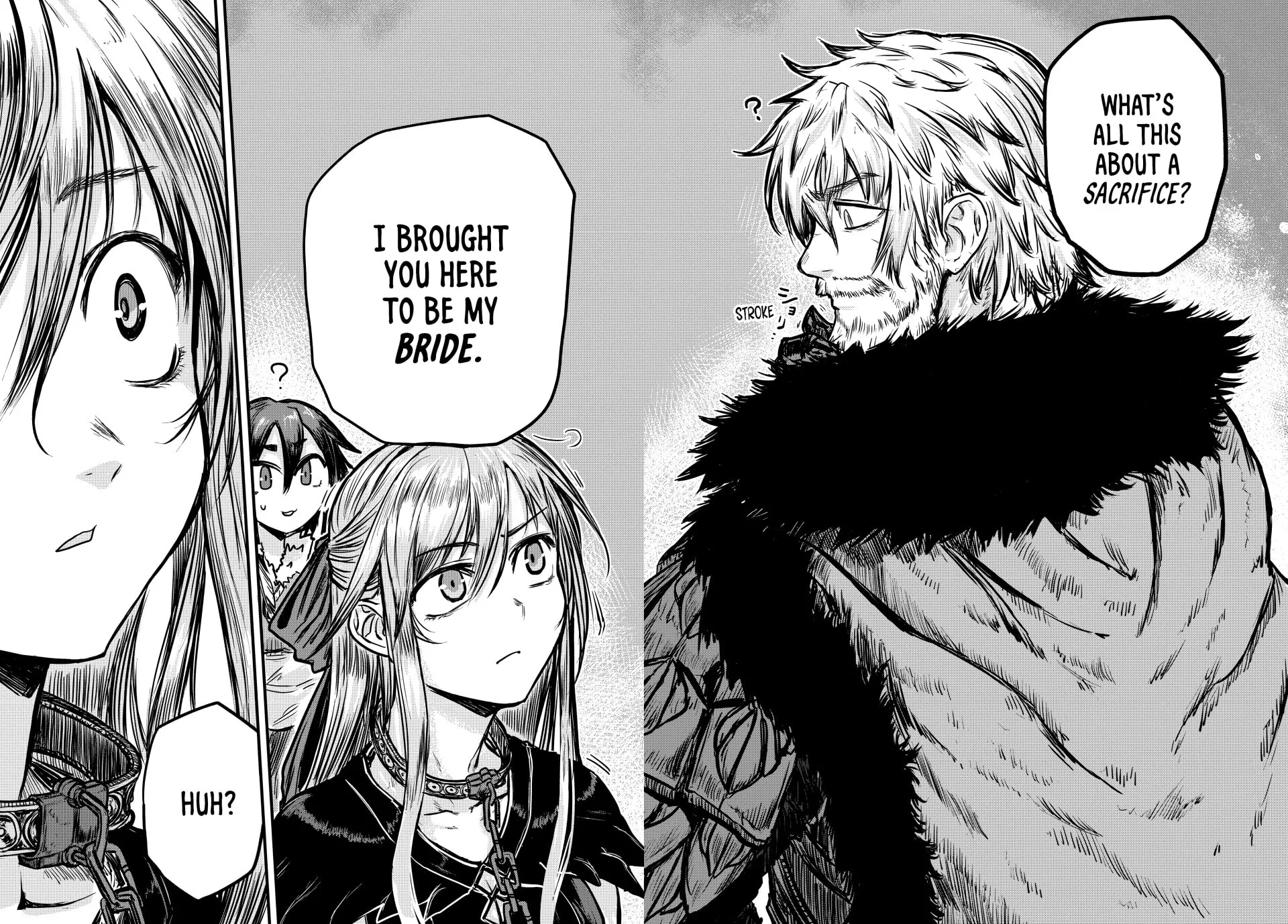 The Barbarian