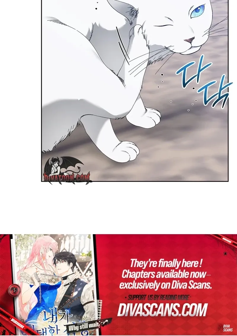 The Beast I Chose Chapter 54 page 50 - 