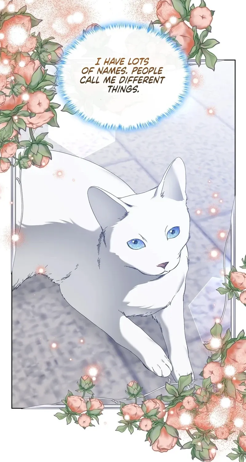 The Beast I Chose Chapter 54 page 53 - 