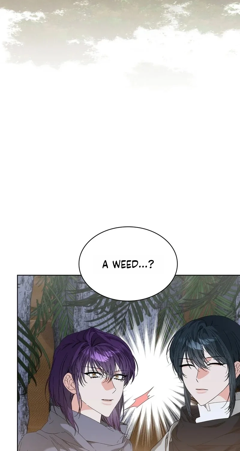 The Beast I Chose Chapter 64 page 65 - 