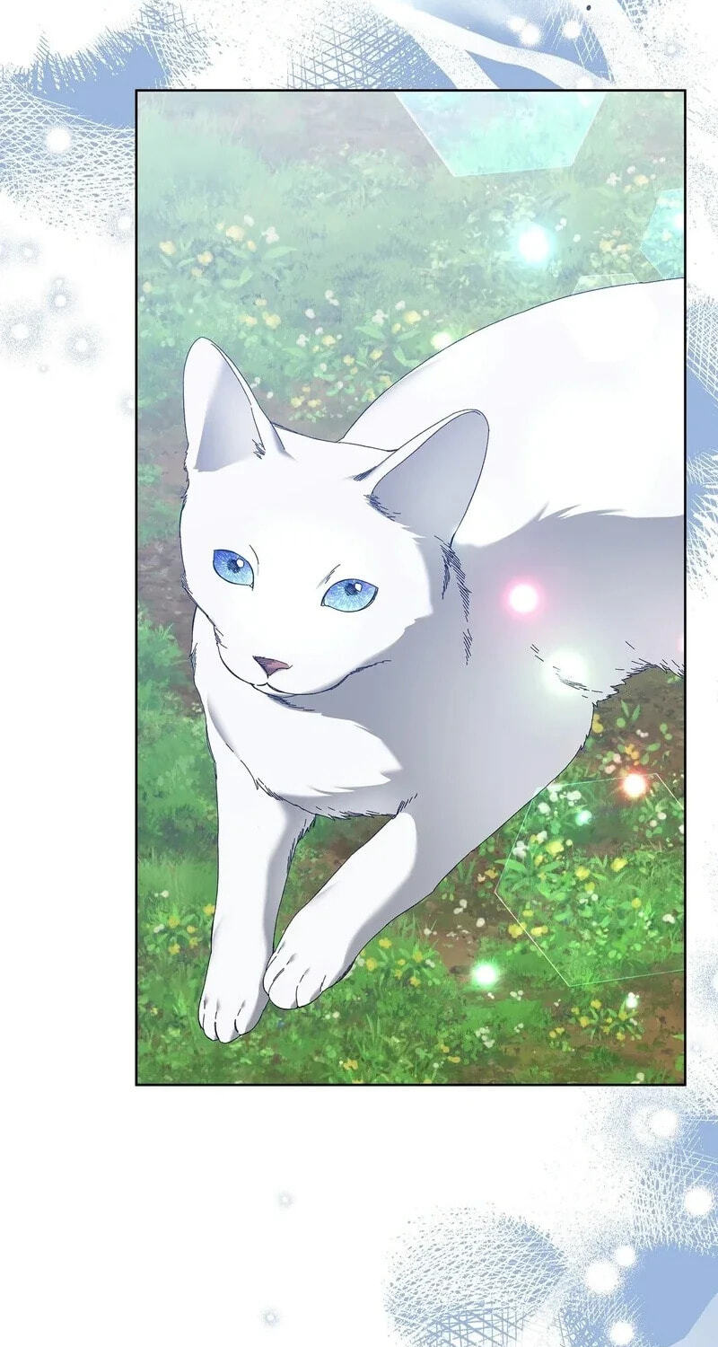 The Beast I Chose Chapter 66 page 47 - 