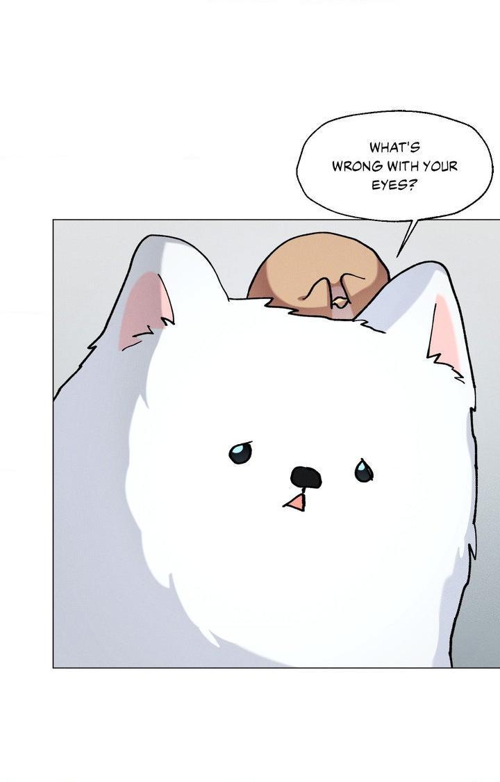 The Beast of Bahal Never Misses Its Prey Chapter 44 page 72 - 