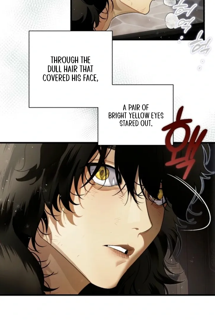 The Beast of the Albard Mansion Chapter 1 page 15 - 