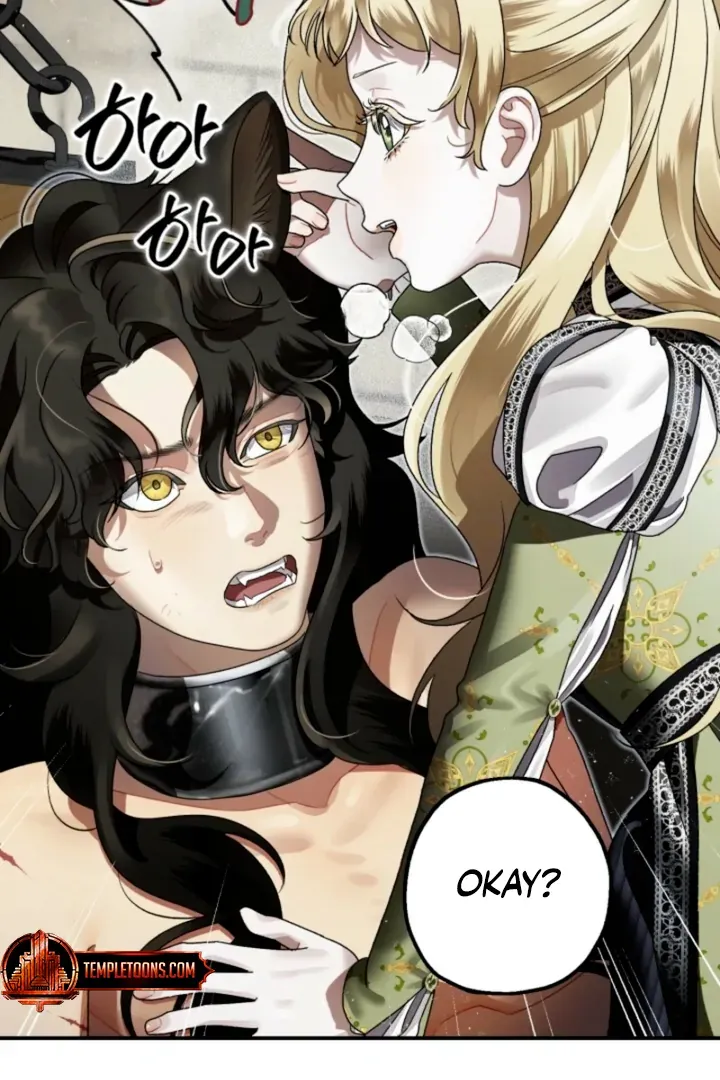 The Beast of the Albard Mansion Chapter 3 page 18 - 