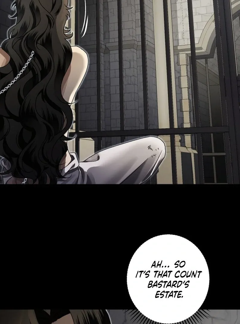 The Beast of the Albard Mansion Chapter 9 page 38 - 