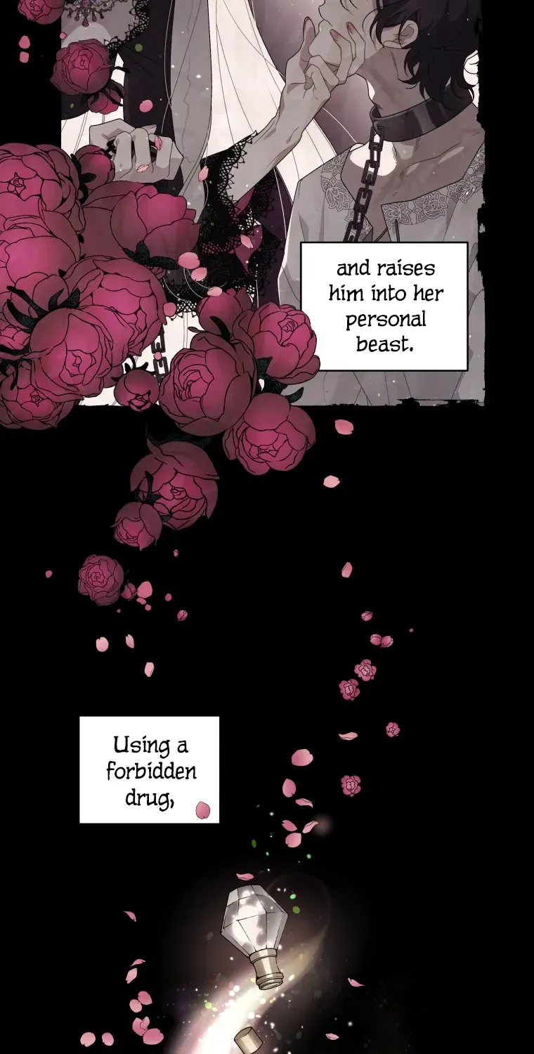 The Beast Tamed by the Evil Woman Chapter 2 page 10 - 