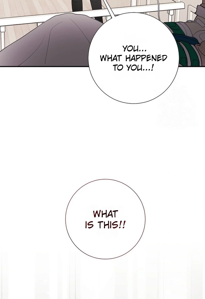 The Beast’s Footprints Chapter 335 page 37 - 