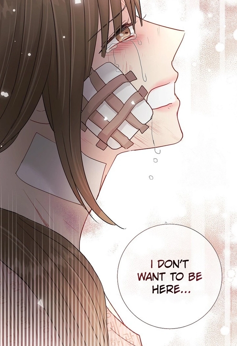 The Beast’s Footprints Chapter 335 page 41 - 
