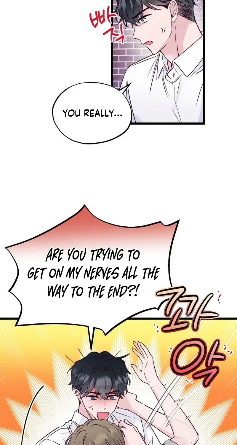 The Beauty of Class 8 Chapter 10 page 3 - 