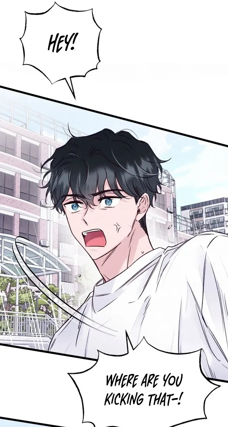 The Beauty of Class 8 Chapter 10 page 63 - 