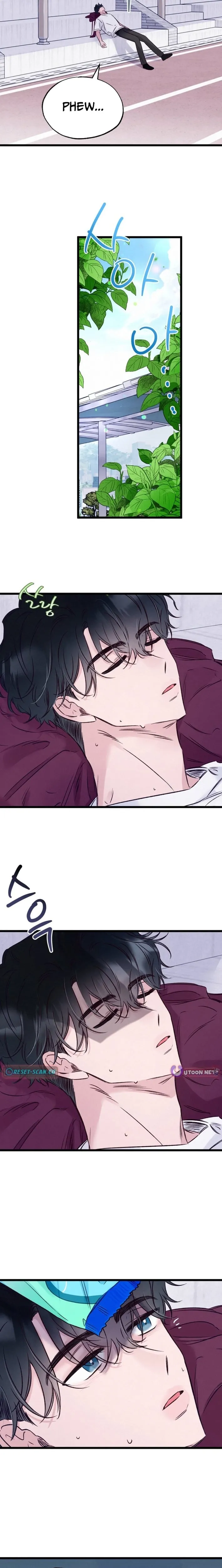 The Beauty of Class 8 Chapter 11 page 8 - 