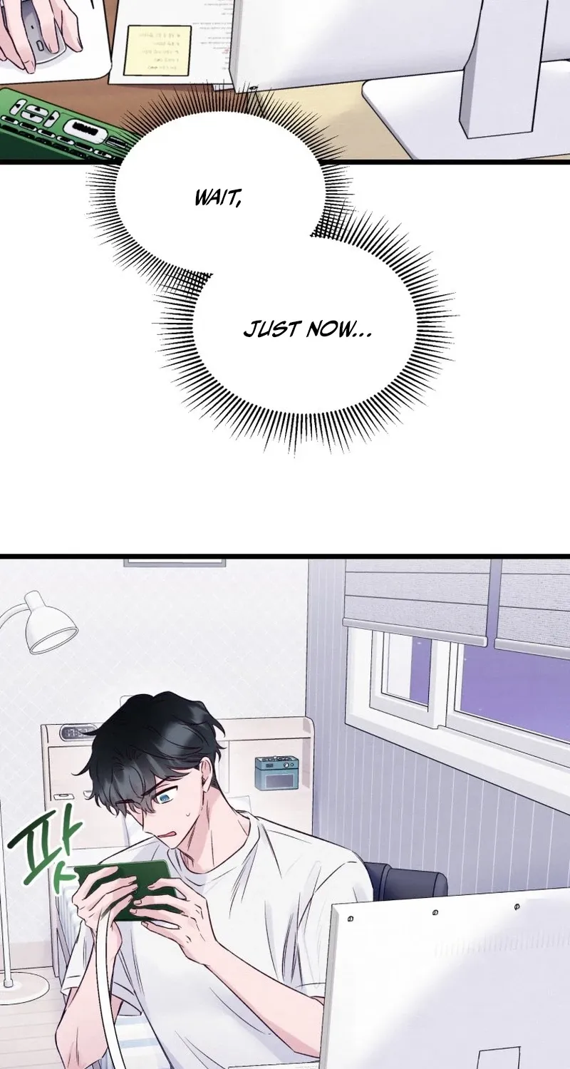 The Beauty of Class 8 Chapter 3 page 19 - 