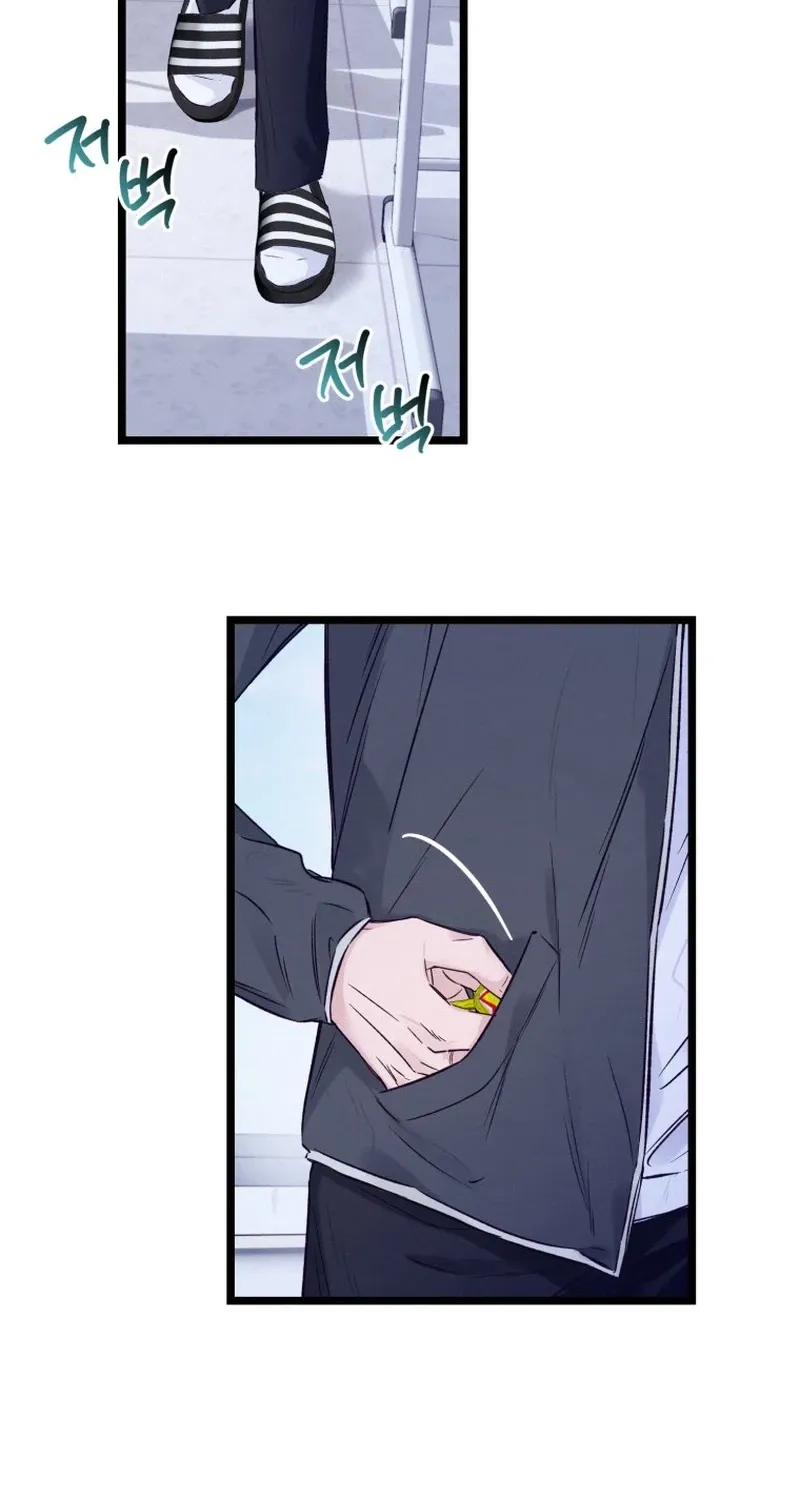 The Beauty of Class 8 Chapter 3 page 29 - 