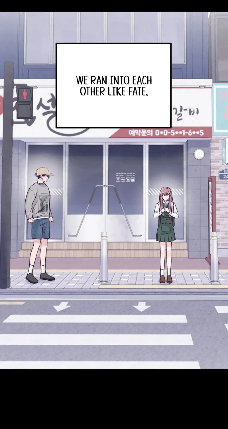The Beauty of Class 8 Chapter 3 page 51 - 