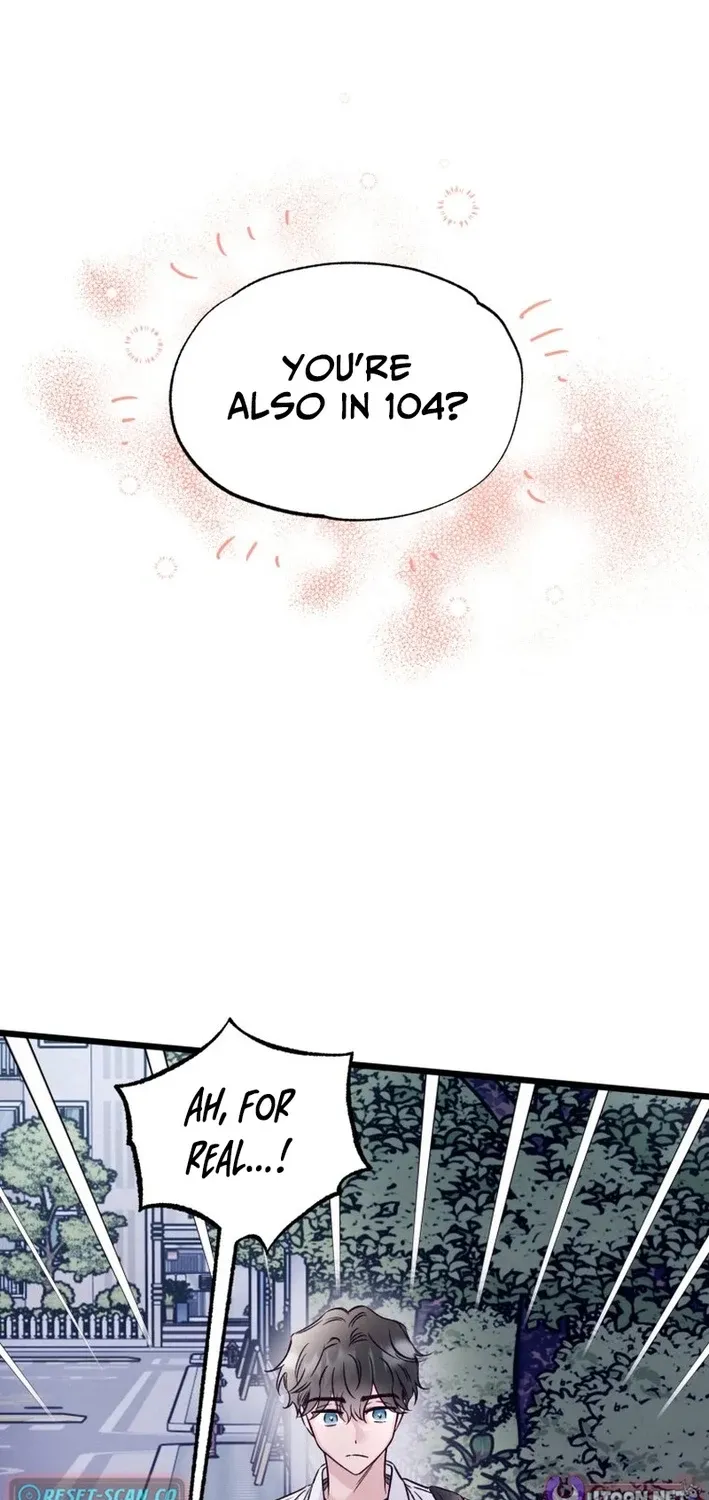 The Beauty of Class 8 Chapter 5 page 62 - 