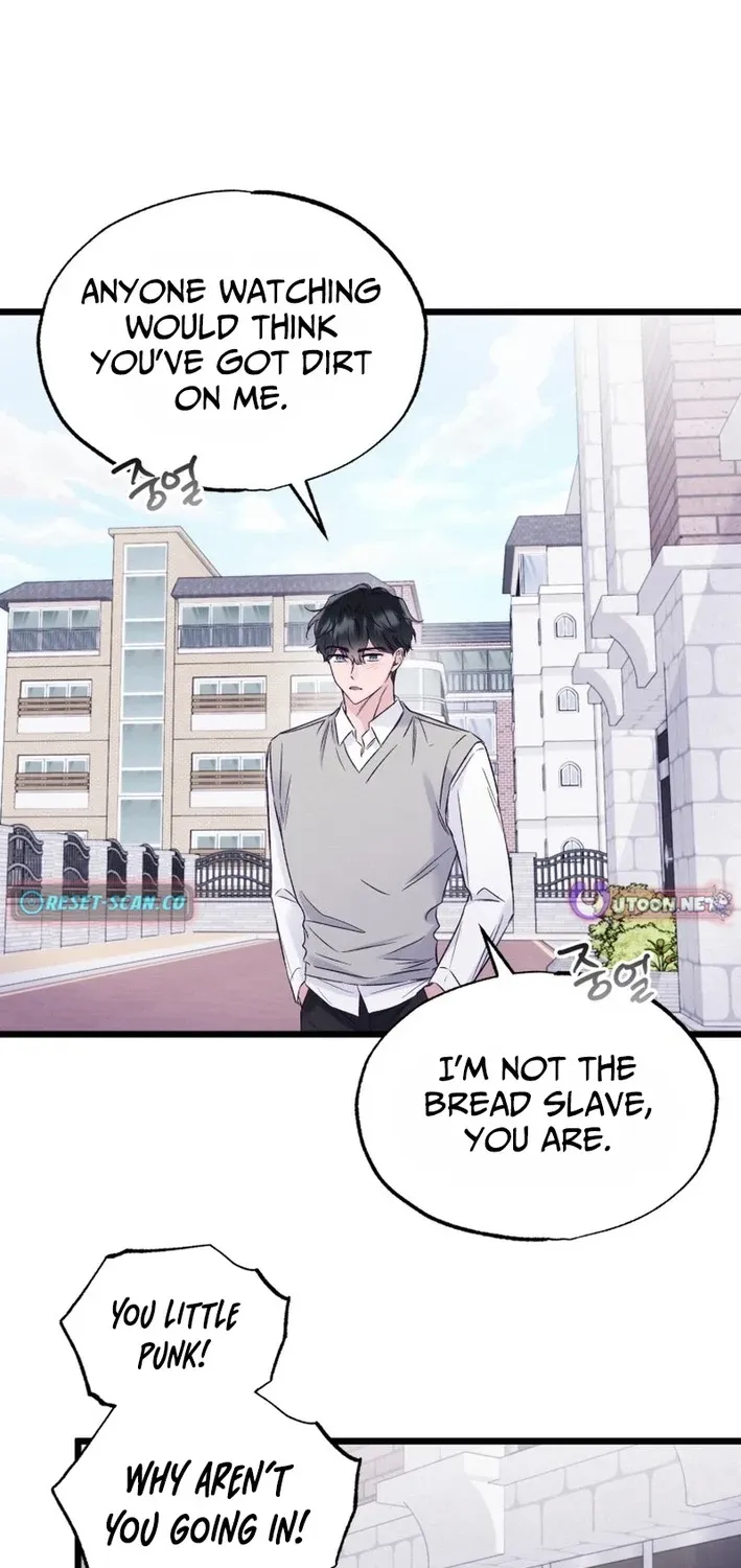 The Beauty of Class 8 Chapter 6 page 50 - 