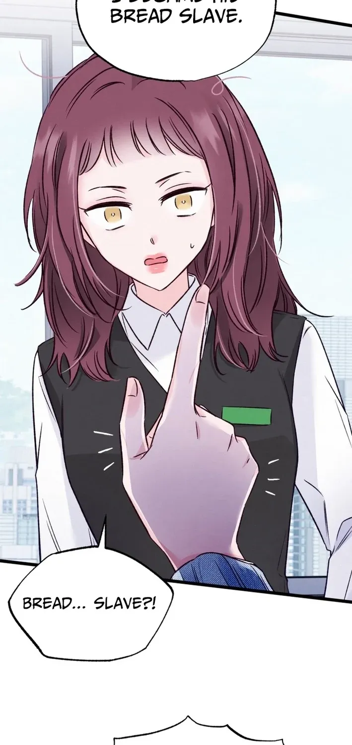 The Beauty of Class 8 Chapter 7 page 13 - 