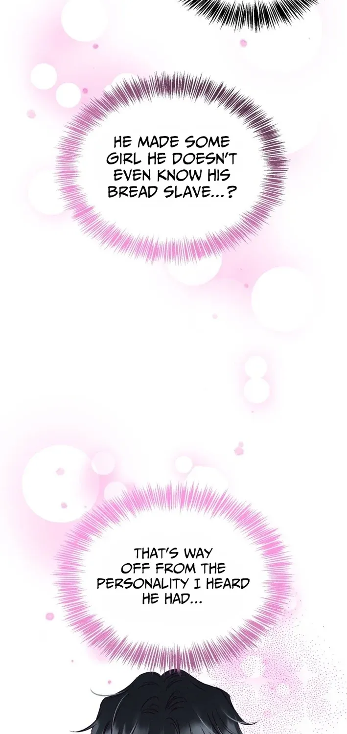 The Beauty of Class 8 Chapter 7 page 19 - 
