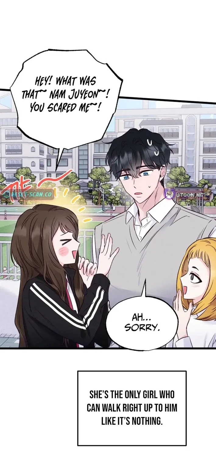 The Beauty of Class 8 Chapter 7 page 42 - 