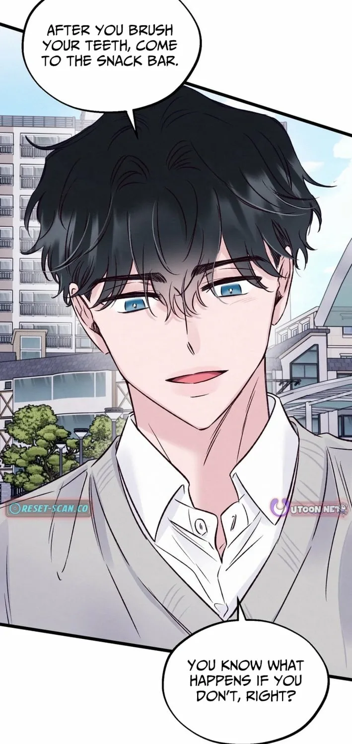The Beauty of Class 8 Chapter 8 page 11 - 