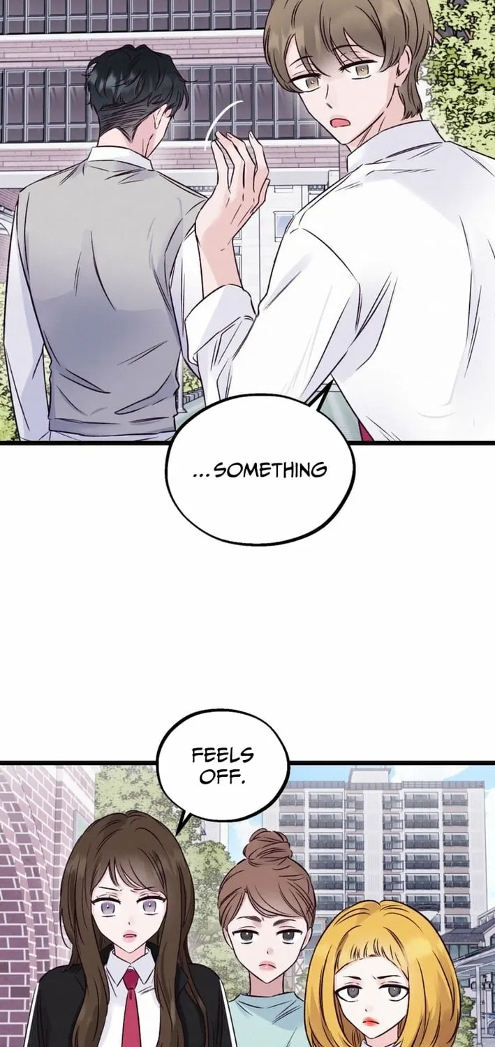 The Beauty of Class 8 Chapter 8 page 19 - 