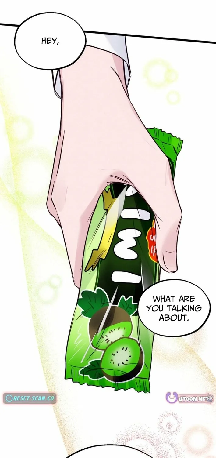 The Beauty of Class 8 Chapter 8 page 47 - 