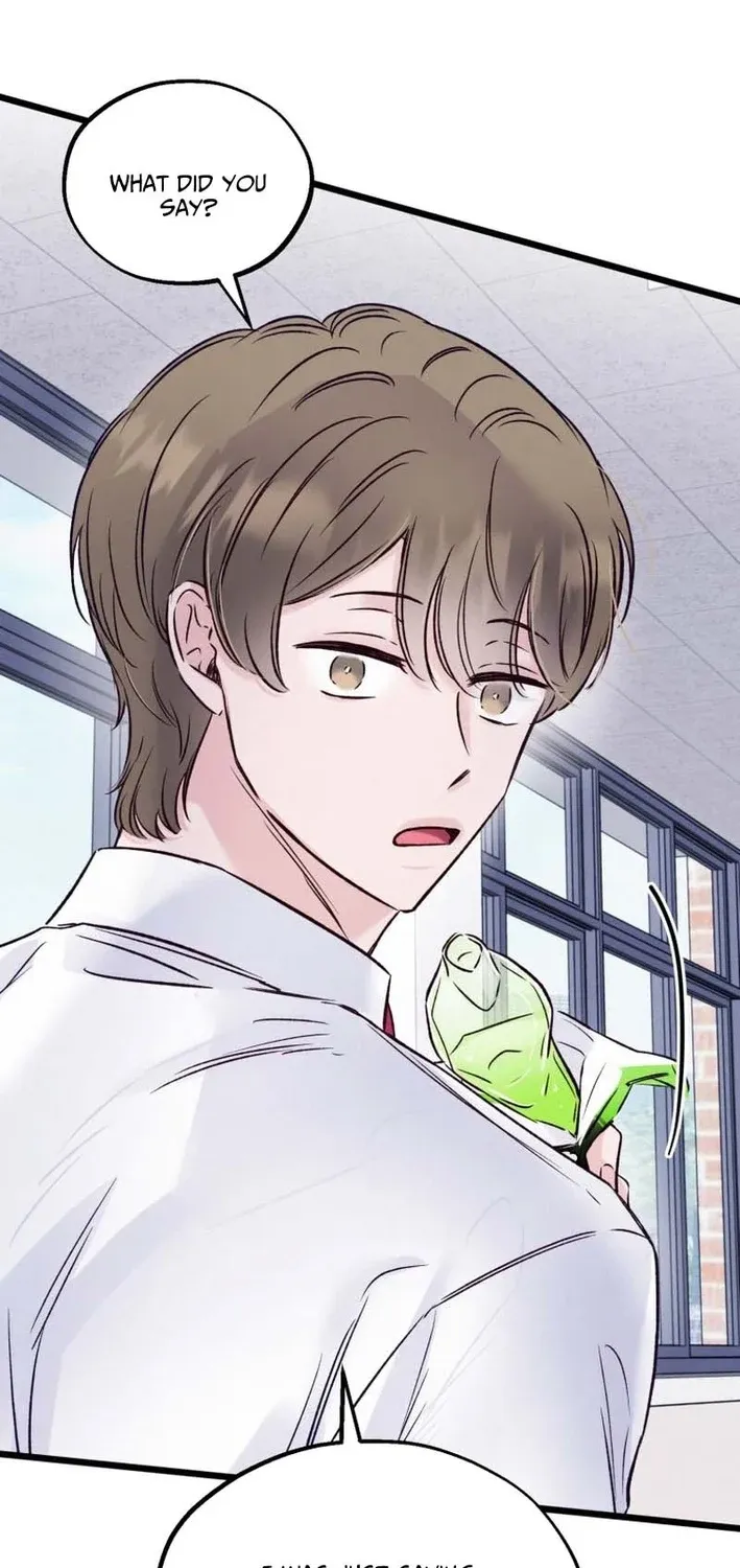 The Beauty of Class 8 Chapter 9 page 3 - 
