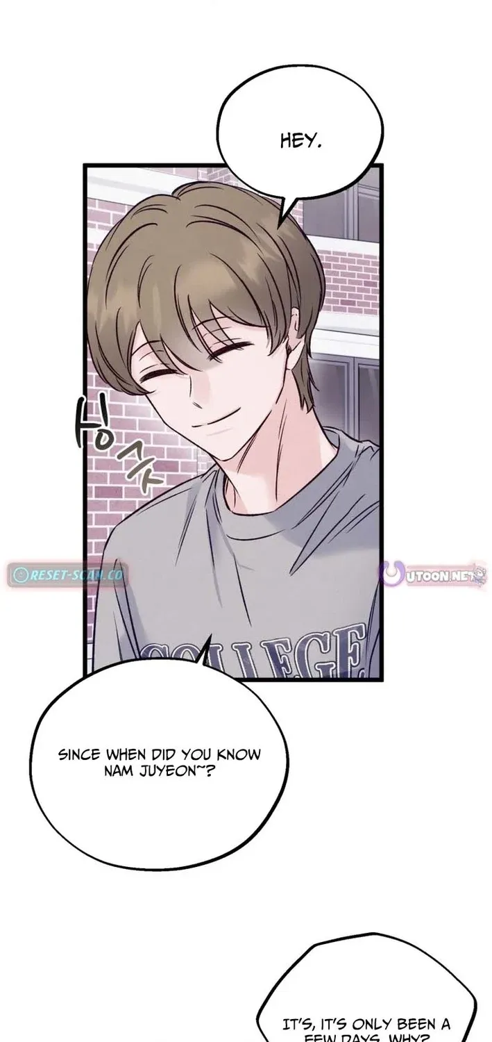 The Beauty of Class 8 Chapter 9 page 43 - 