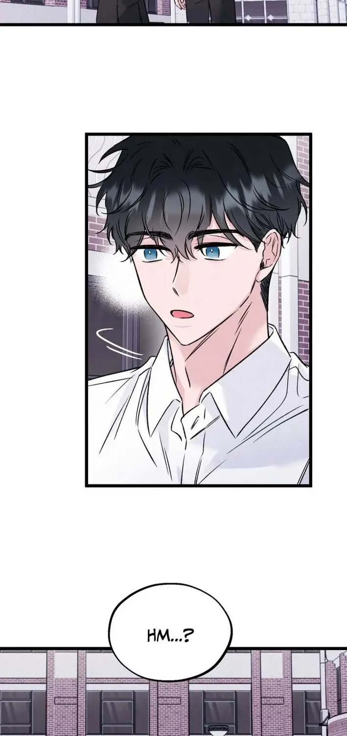 The Beauty of Class 8 Chapter 9 page 54 - 