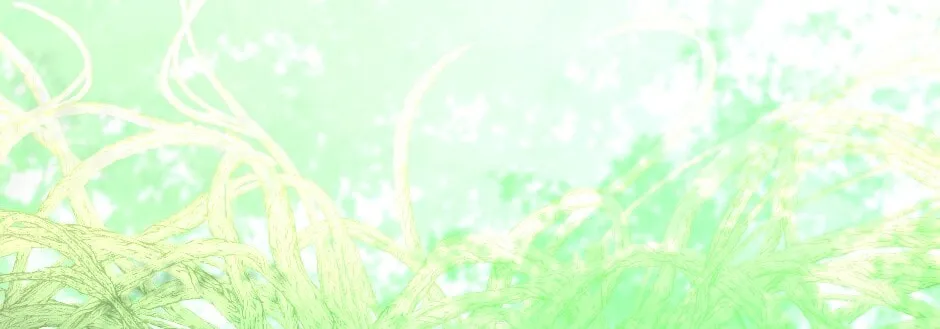 The Beginning After the End Chapter 123 page 82 - 