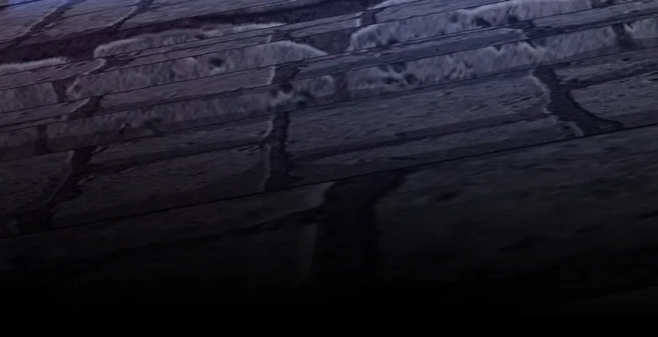 The Beginning After the End Chapter 144 page 52 - 