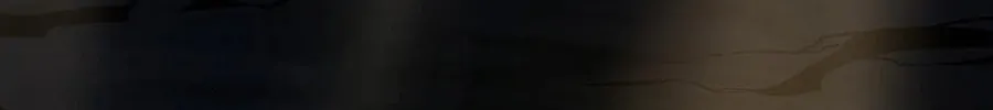 The Beginning After the End Chapter 203 page 206 - 
