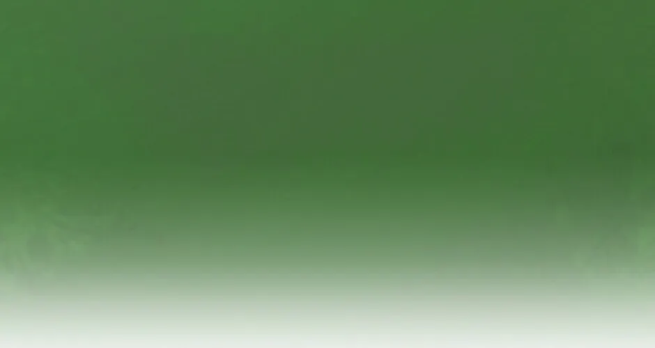 The Beginning After the End Chapter 56 page 94 - 