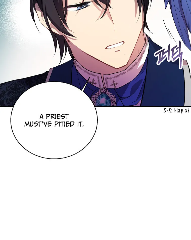 The Beloved Fake Saint Chapter 15 page 17 - 