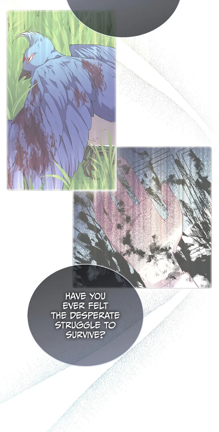The Beloved Fake Saint Chapter 15 page 62 - 