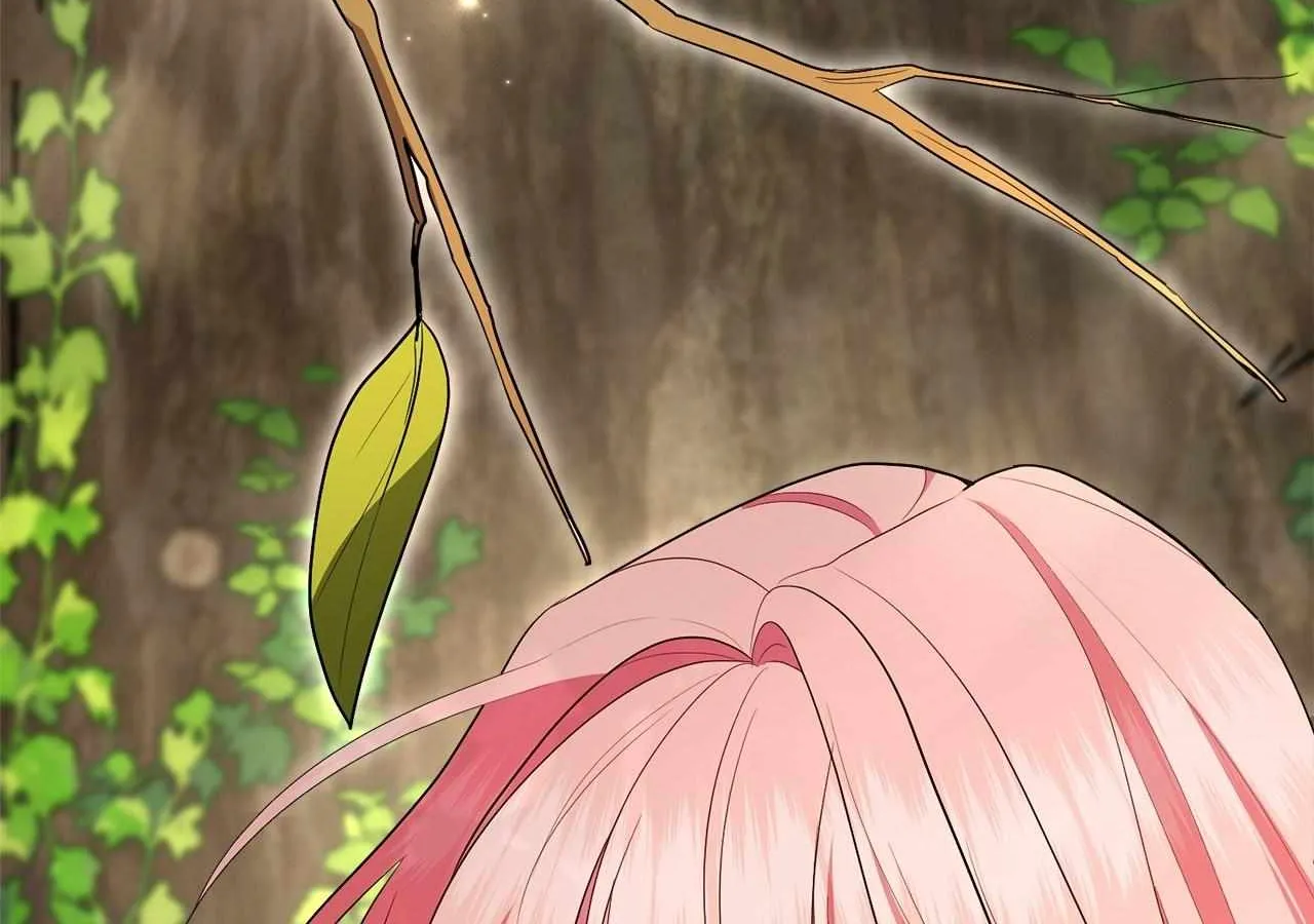 The Beloved Gardener of the World Tree Chapter 10 page 165 - 