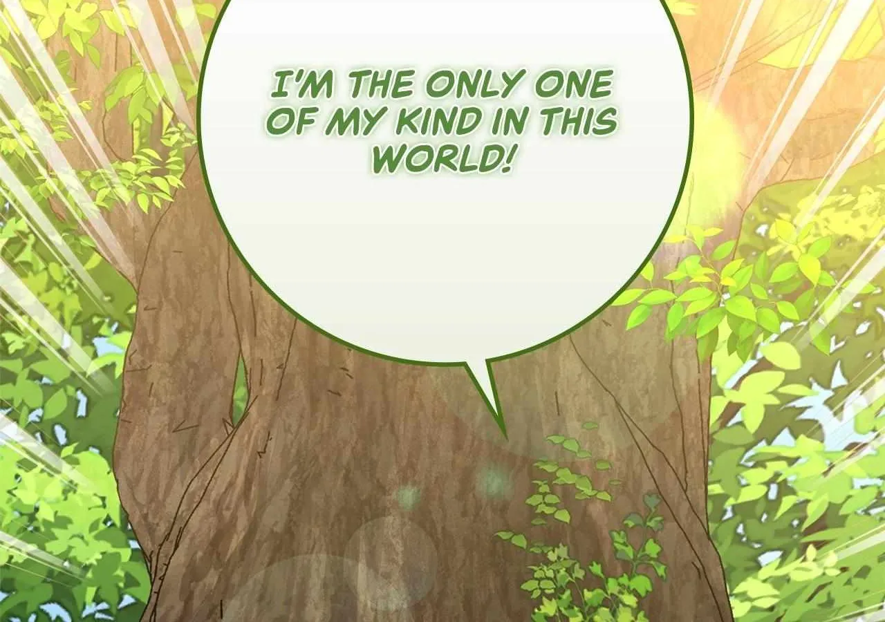 The Beloved Gardener of the World Tree Chapter 10 page 207 - 