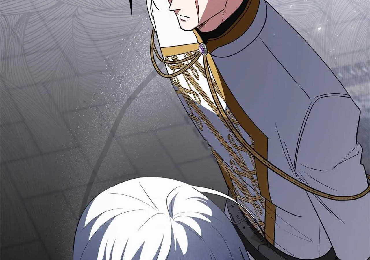 The Beloved Gardener of the World Tree Chapter 12 page 217 - 