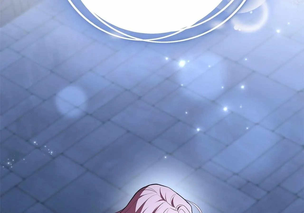 The Beloved Gardener of the World Tree Chapter 13 page 211 - 