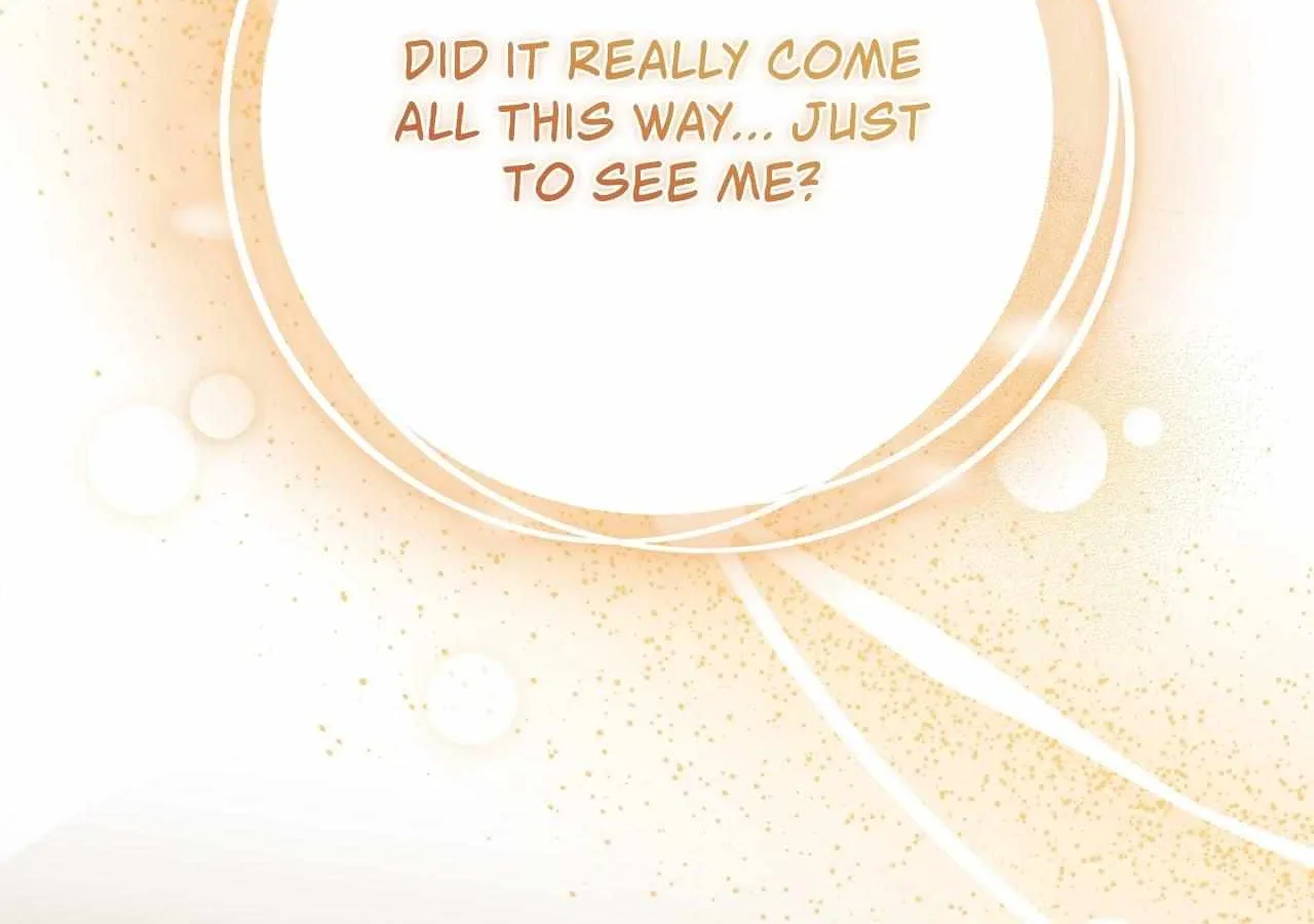 The Beloved Gardener of the World Tree Chapter 13 page 24 - 