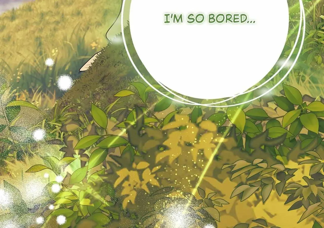 The Beloved Gardener of the World Tree Chapter 14 page 28 - 