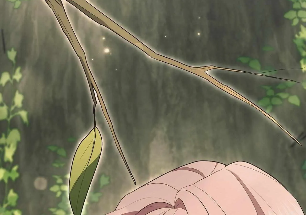 The Beloved Gardener of the World Tree Chapter 14 page 63 - 