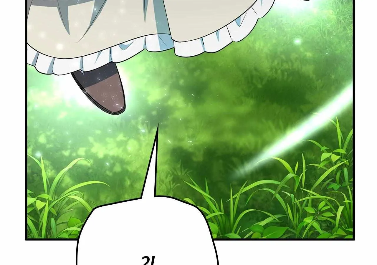 The Beloved Gardener of the World Tree Chapter 15 page 184 - 