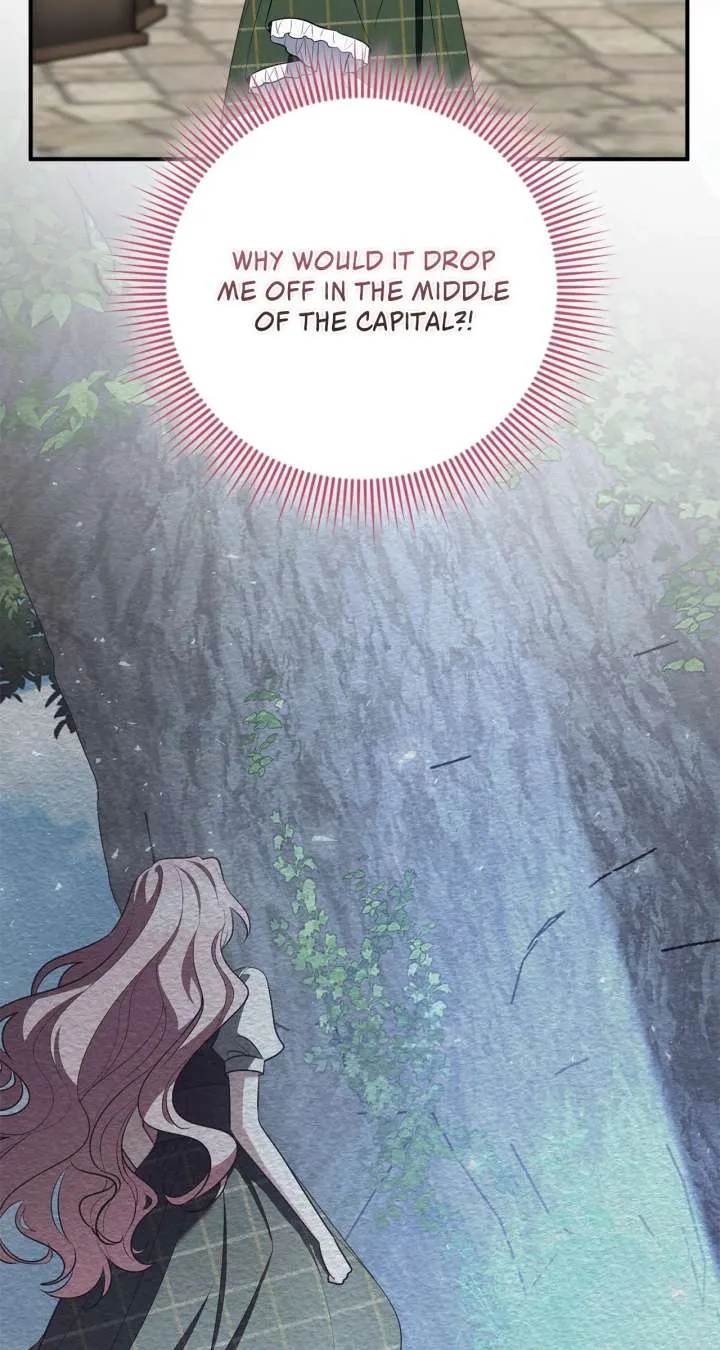 The Beloved Gardener of the World Tree Chapter 16 page 13 - 
