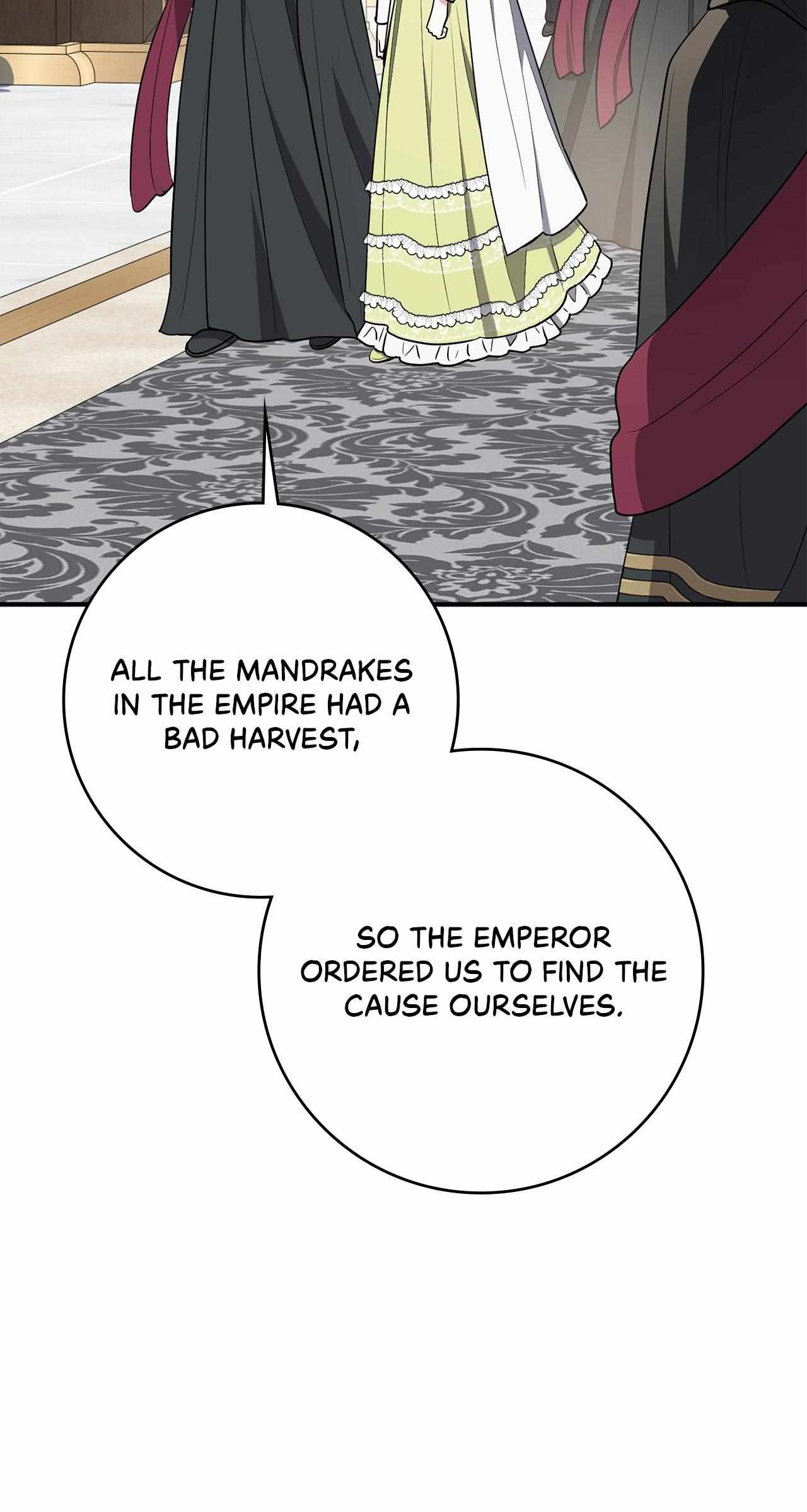 The Beloved Gardener of the World Tree Chapter 24 page 61 - 