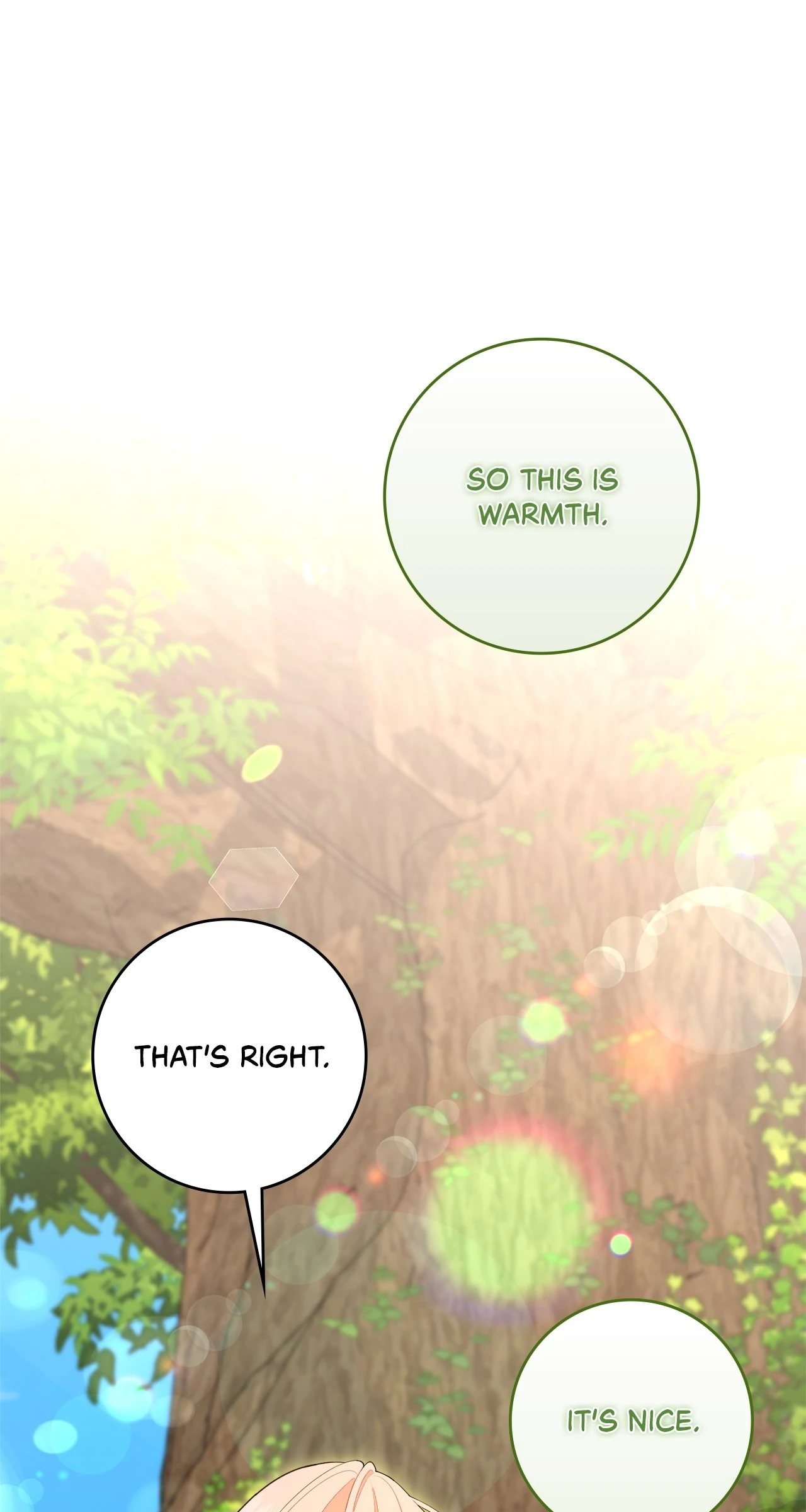 The Beloved Gardener of the World Tree Chapter 25 page 91 - 